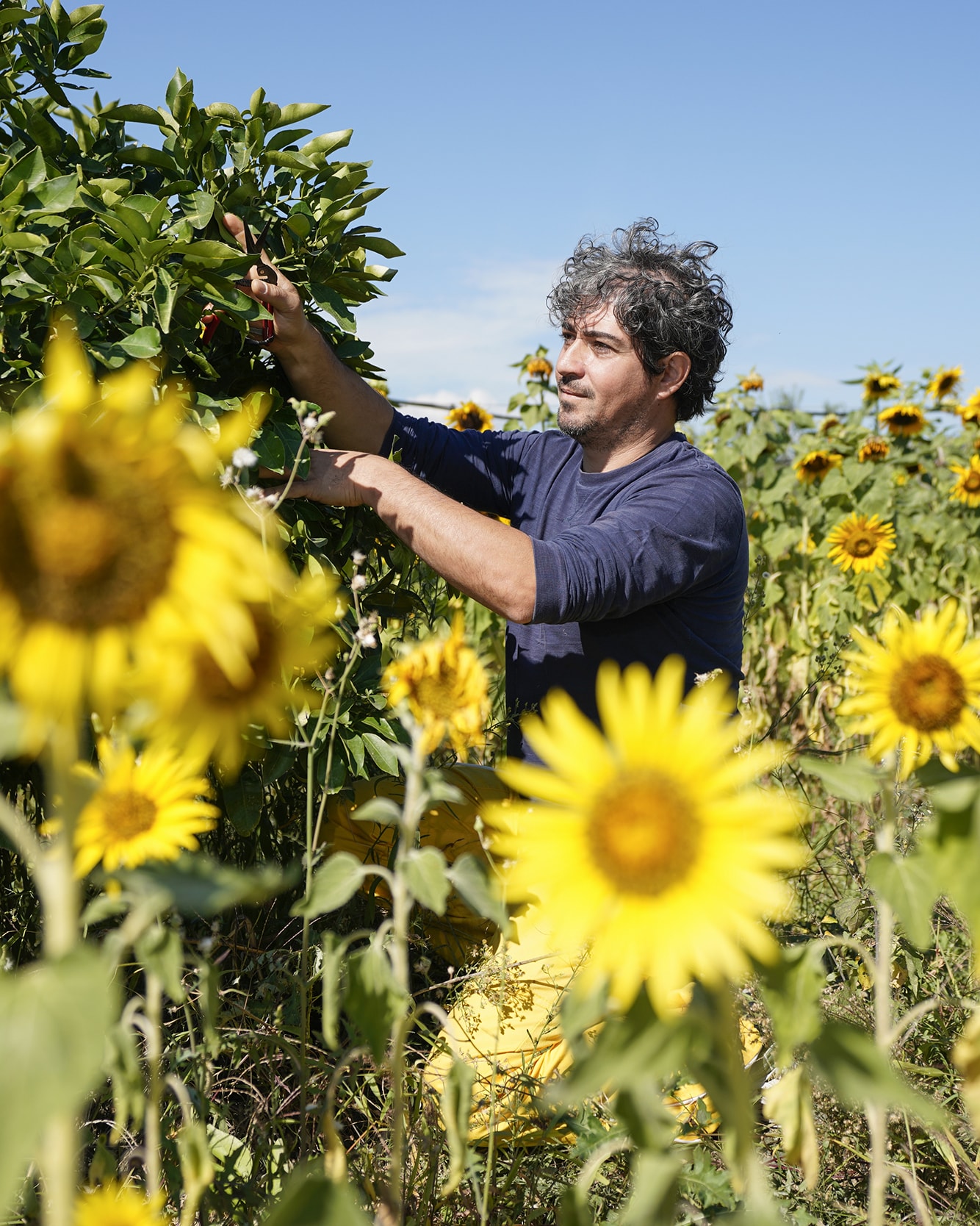 Meet the Hosts Breathing New Life into an Italian Village